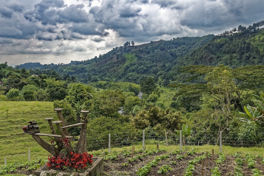 Colombia's Coffee Cultural Landscape