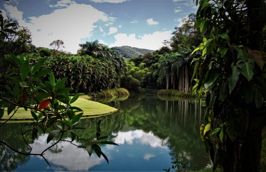 Brumadinho (Inhotim)