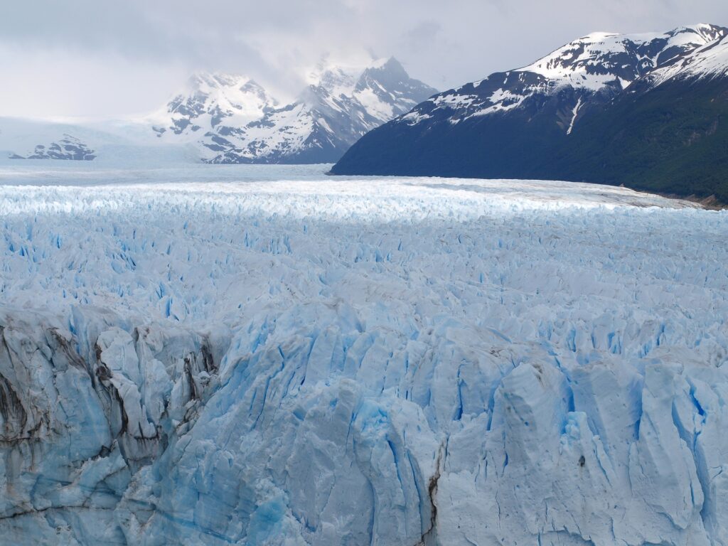 Calafate 